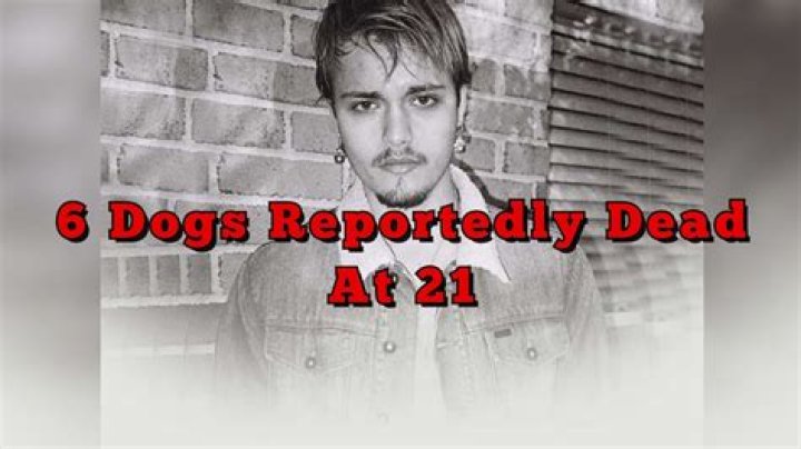 6 Dogs Reportedly Dead At 21