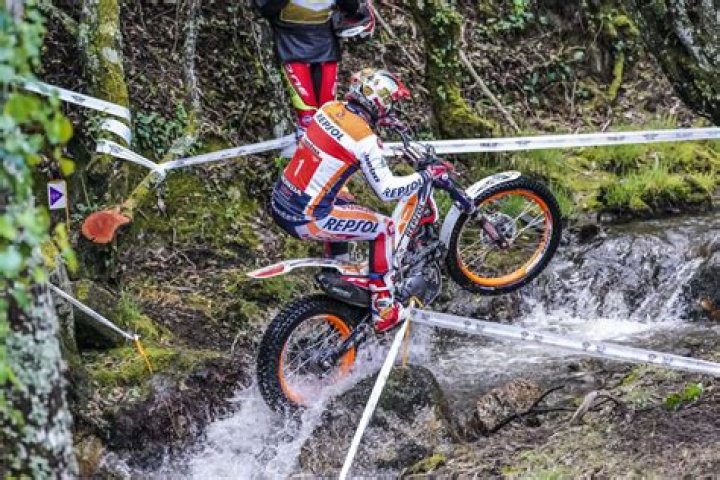 Antoni Bou (Motorcycle Racer) - Age, Birthday, Bio, Facts, Family, Net Worth, Height & More