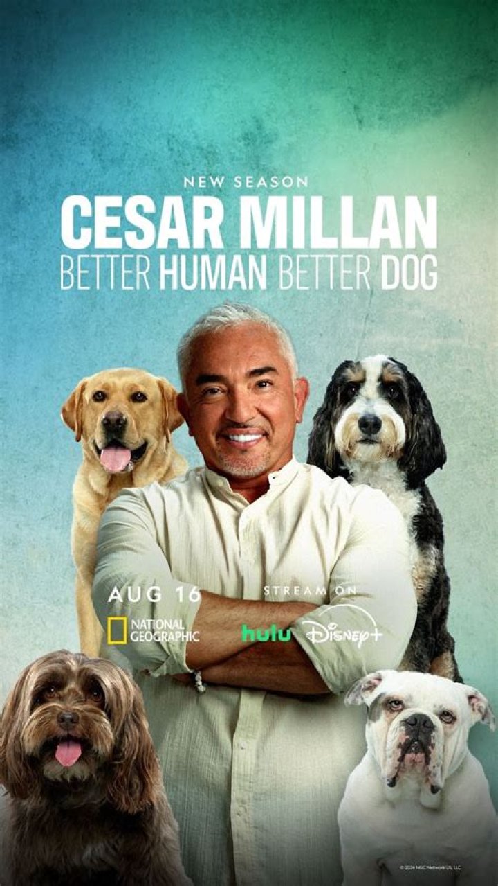Does Cesar Millan still work with dogs? – Celebrity.fm – #1 Official Stars, Business & People Network, Wiki, Success story, Biography & Quotes