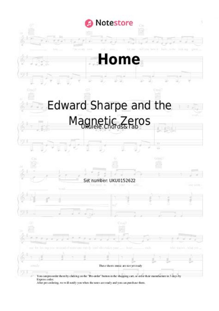 Edward Sharpe and the Magnetic Zeros (Band) - Members profile, Facts, Wiki, Achievements, Net worth 2024 (updated)