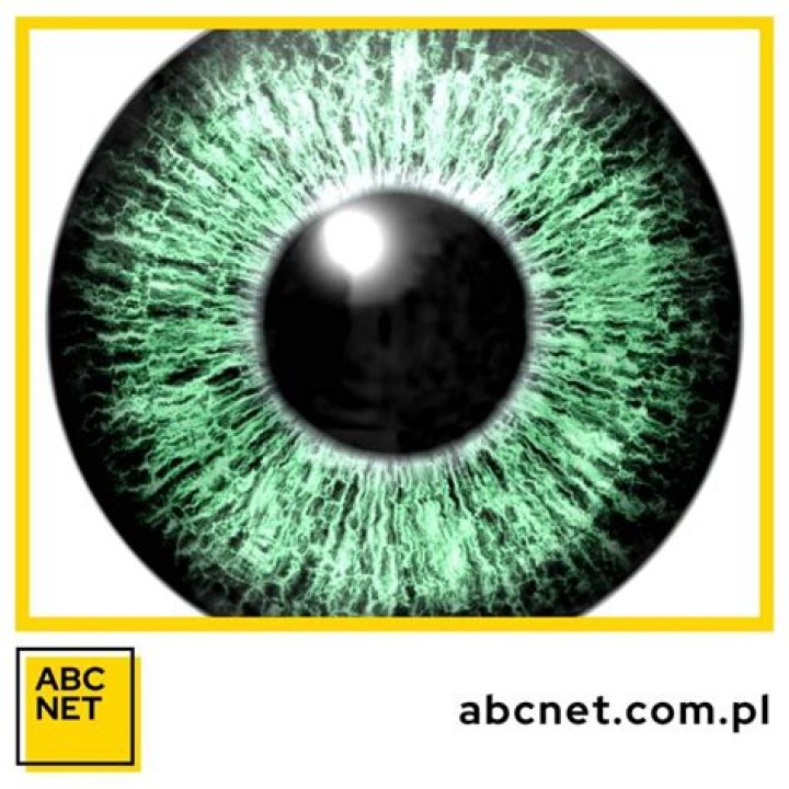 Kto słynie z zielonych oczu? – Celebrity.fm