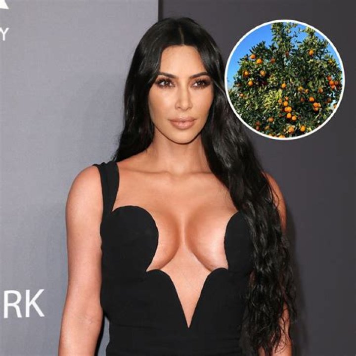 Living Large! Take a Tour of Kim Kardashian’s Expansive Garden and Orchard: Photos