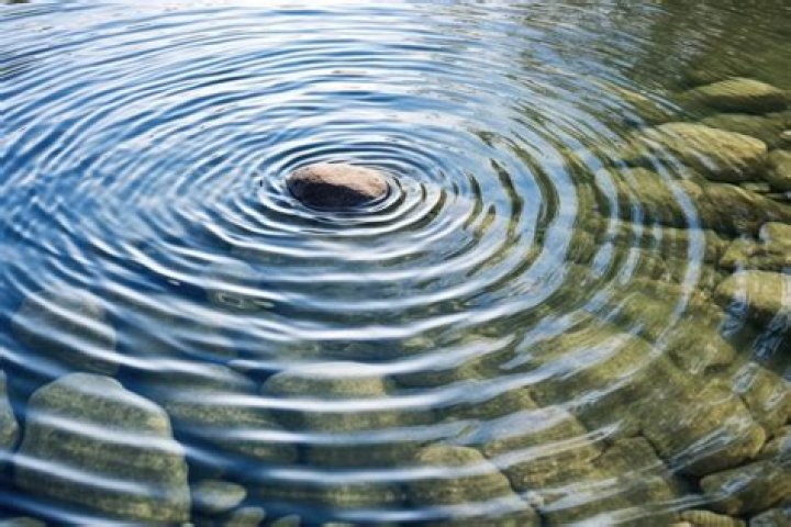 ¿Qué significa cuando cae el sereno? – Celebrity.fm – #1 Official Stars, Business & People Network, Wiki, Success story, Biography & Quotes