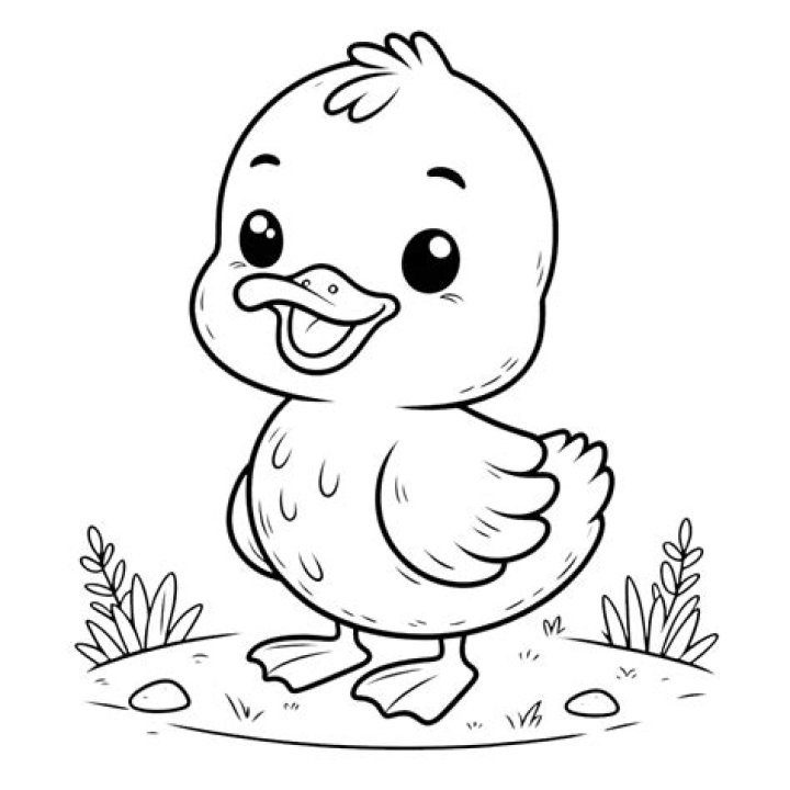 ¿Qué significa un pato en la Biblia? – Celebrity.fm