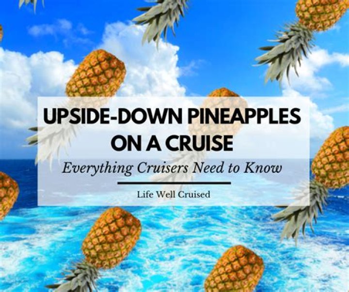 What do pineapples mean on Tiktok? – Celebrity.fm – #1 Official Stars, Business & People Network, Wiki, Success story, Biography & Quotes