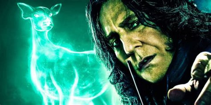 What is Snape’s wand made of? – Celebrity.fm – #1 Official Stars, Business & People Network, Wiki, Success story, Biography & Quotes