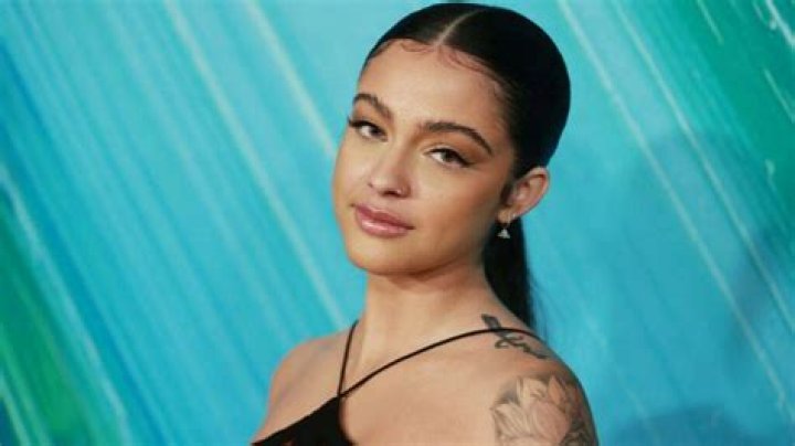 Who Is Malu Trevejo?